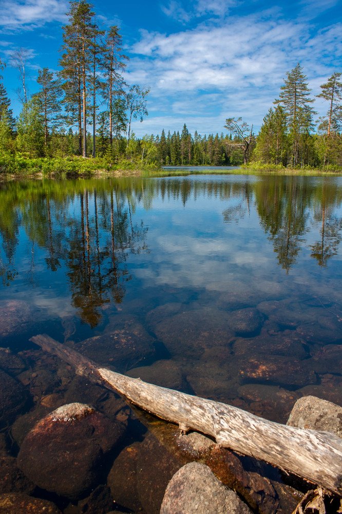 Photograph by Александр Кузнецов