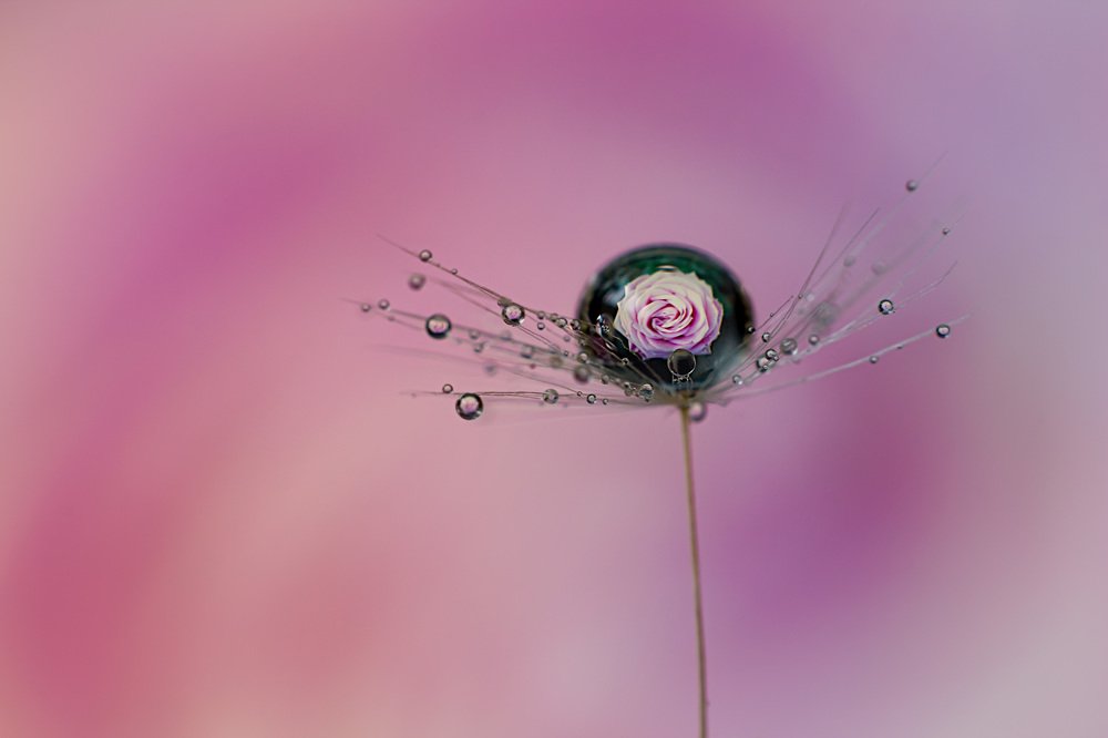 Photograph by Наталья Мищенко