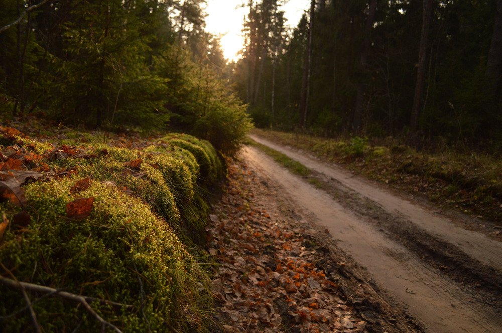 Photograph by Анна Толмачёва