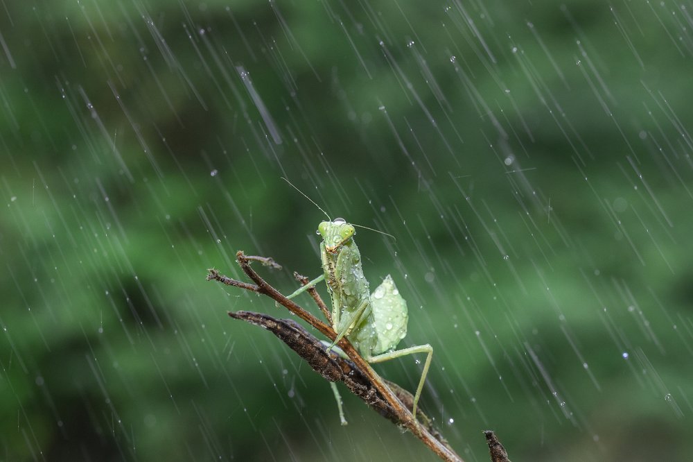 Photograph by Hemraj Chavhan A