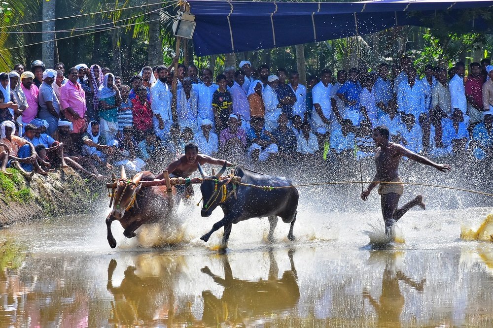 Photograph by Adarsh Ediyottil