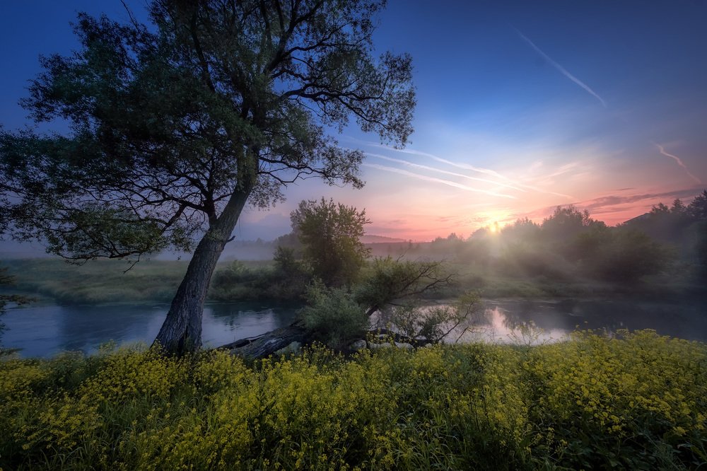 Рассветные трассы