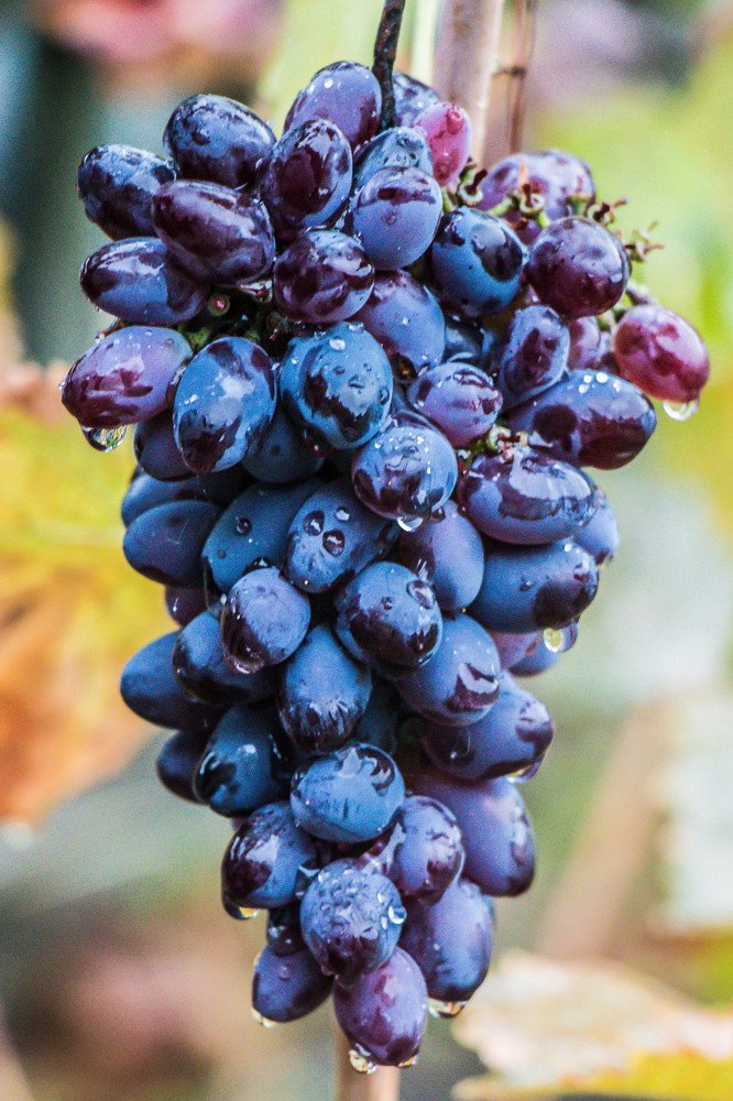 Photograph by Марина Тимакова