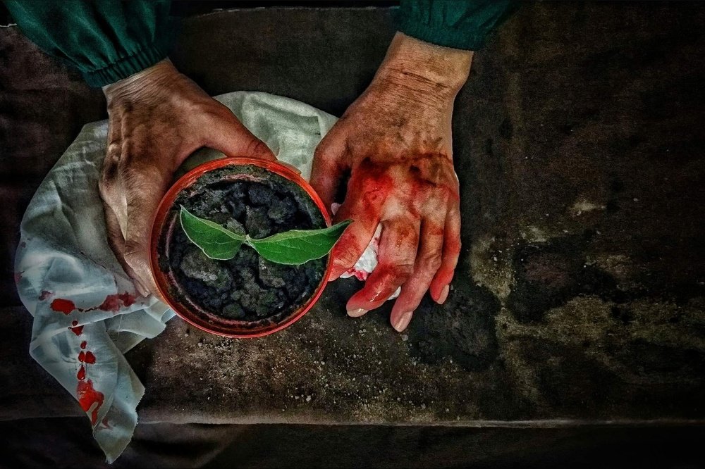 Photograph by Elena  Terentieva