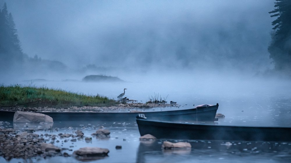 Фотография автора Андрей Чиж