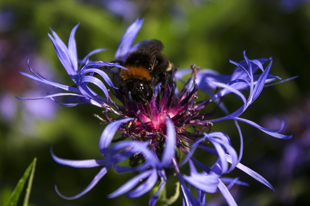 Photograph by Татьяна