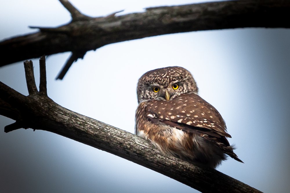 Photograph by Андрей Иванов