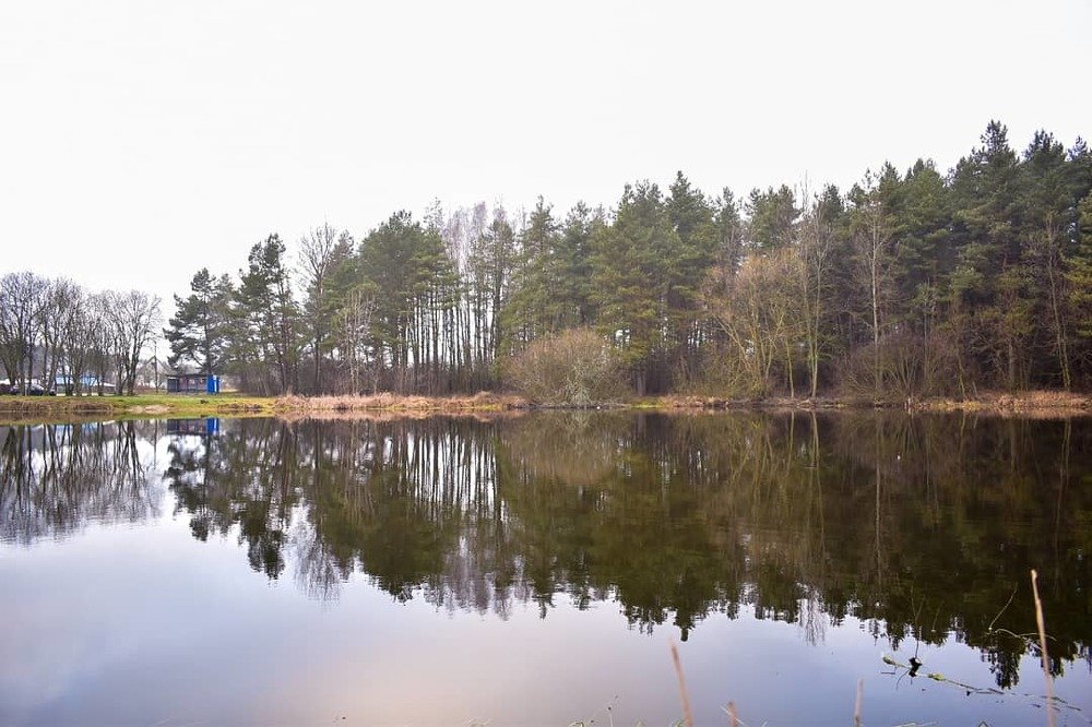 Photograph by Инна Сотникова