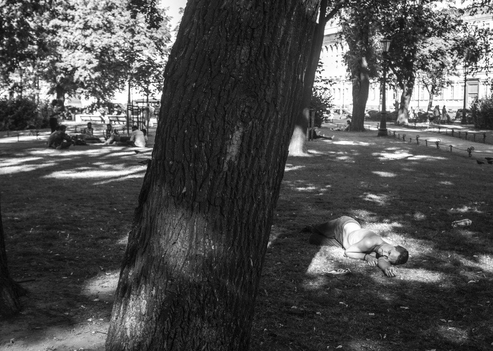 Photograph by Алексей Сыров