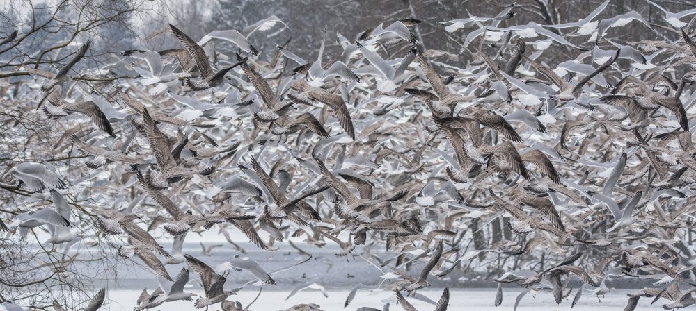 Фотография автора Татьяна Ливеровская