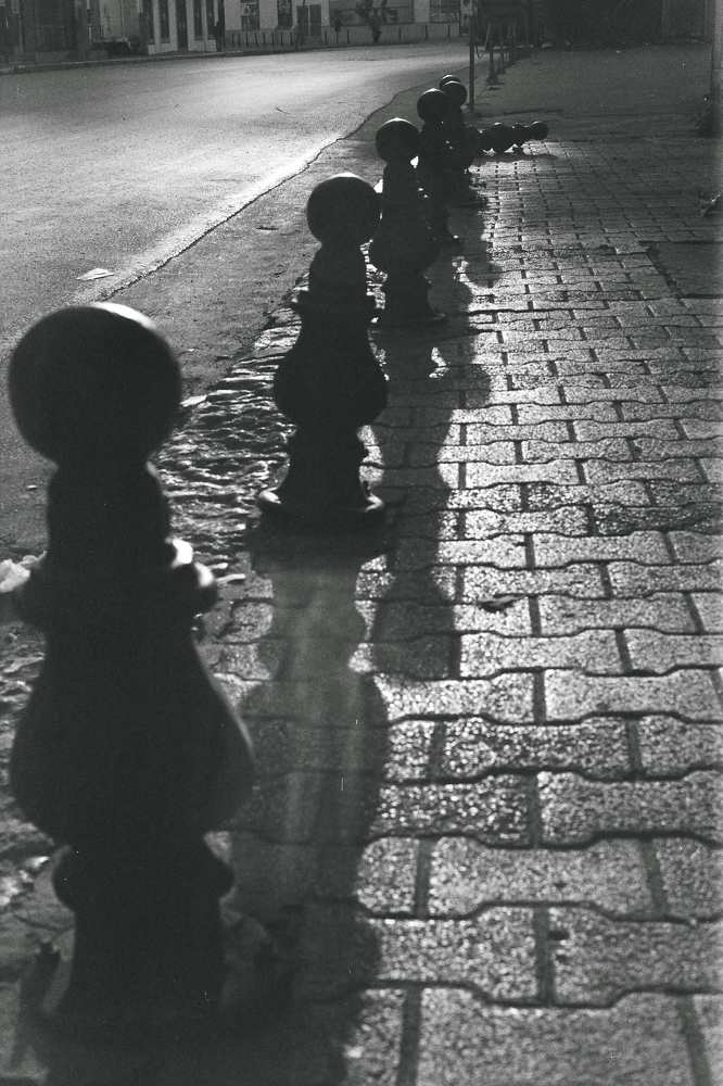 Photograph by Mahfoudhi Samir