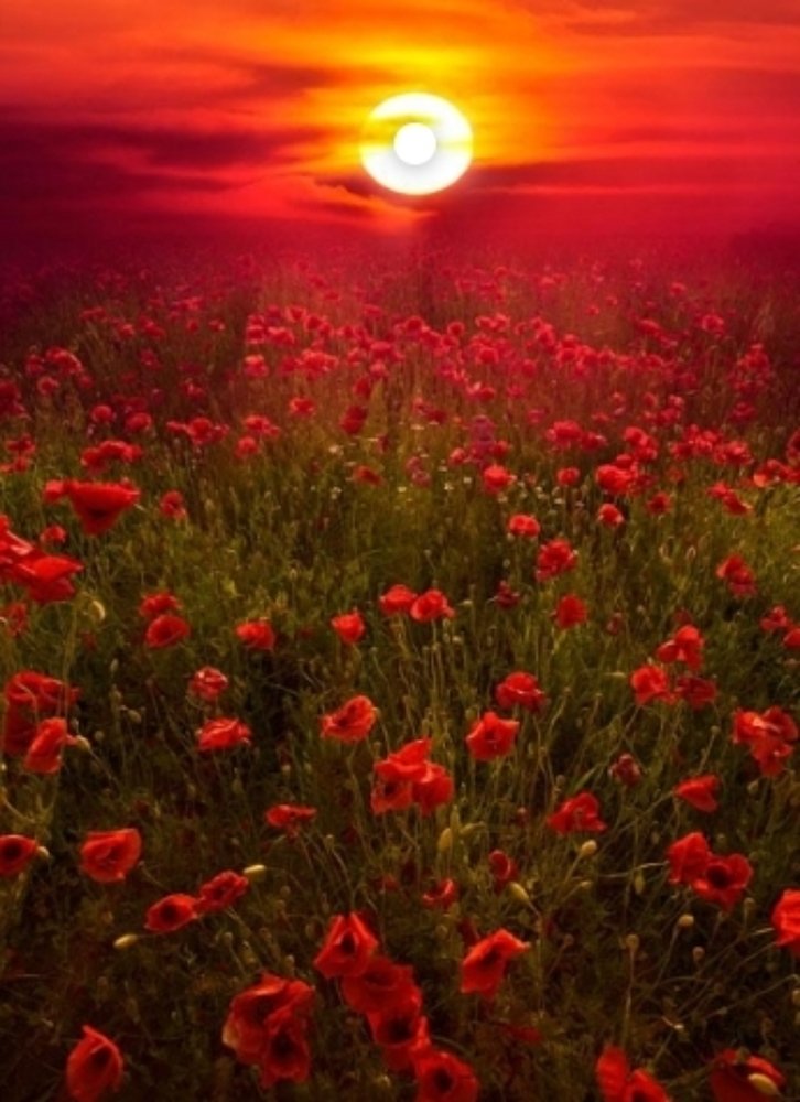 Photograph by Jerrylyn Dumala-ug