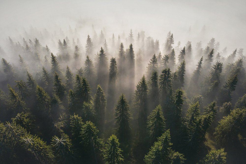 Photograph by Lazar Ioan Ovidiu