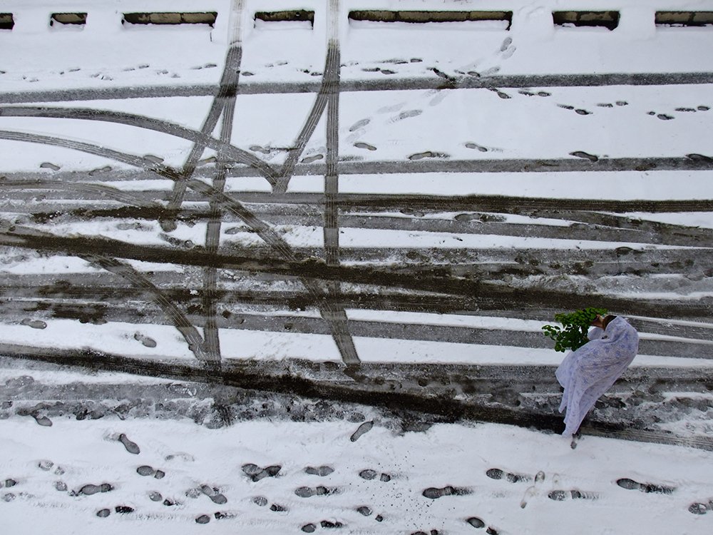 Photograph by ghasem sahrayi