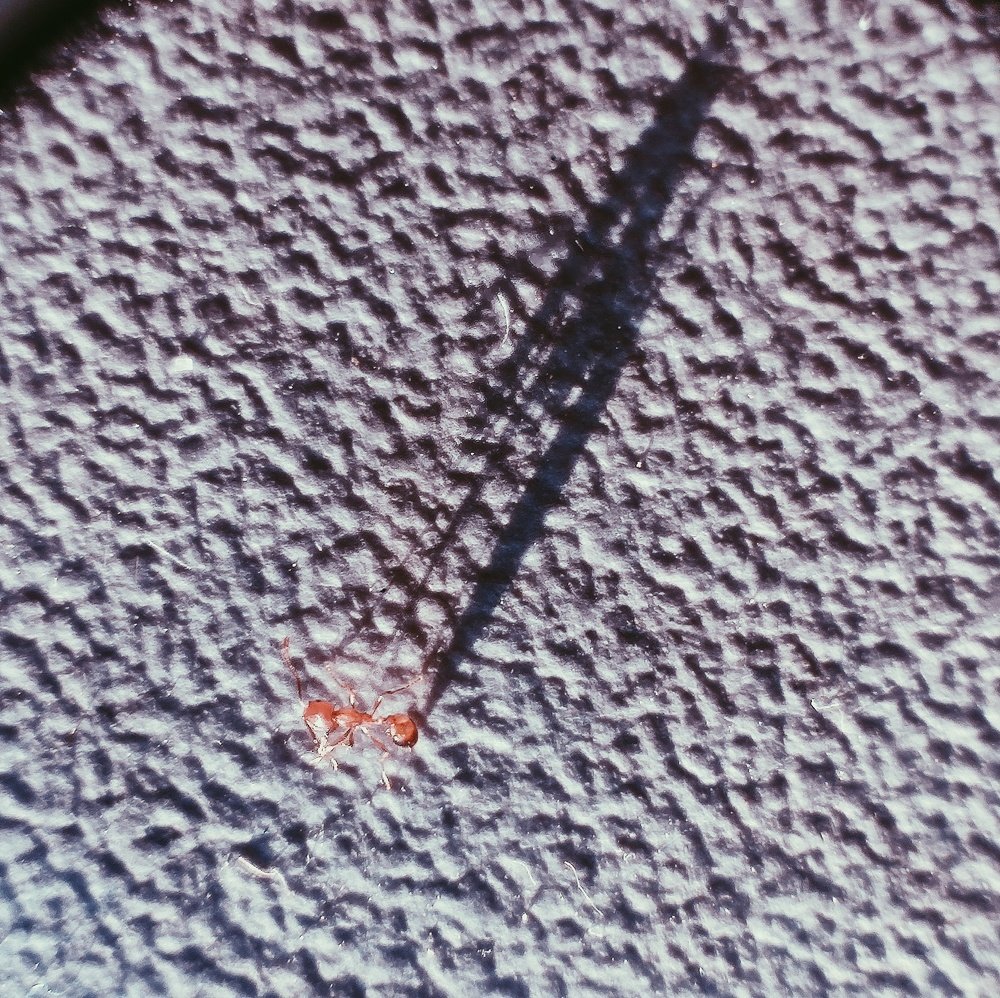 Photograph by Ксения Щербакова