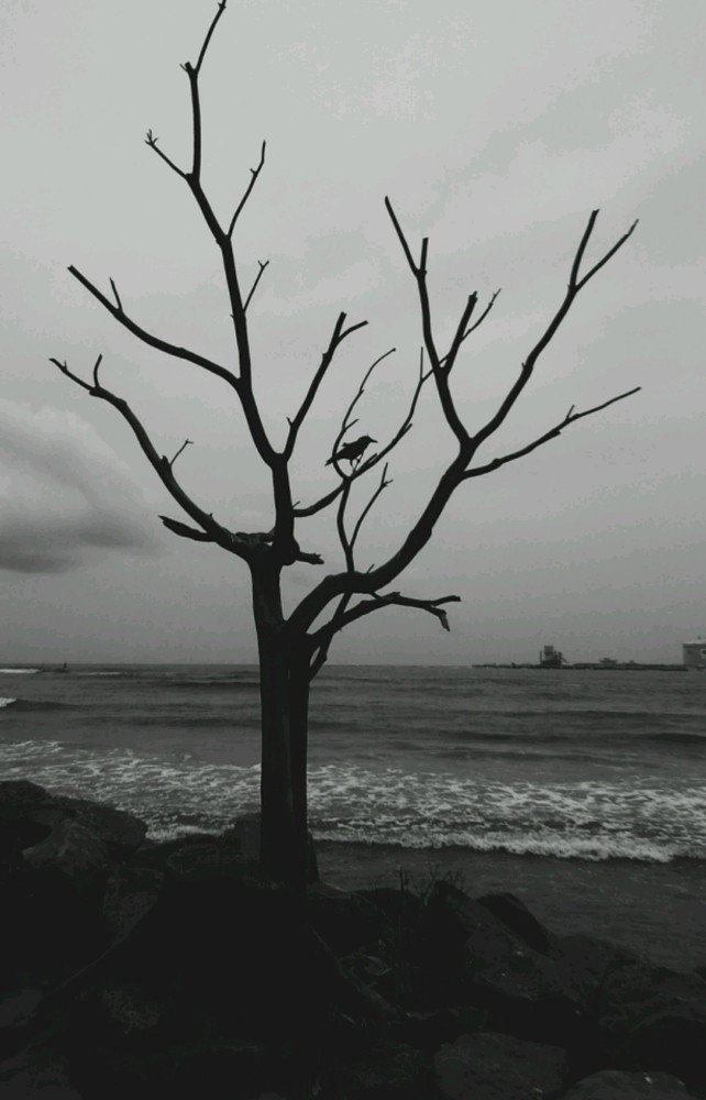 Photograph by AKSHAY V