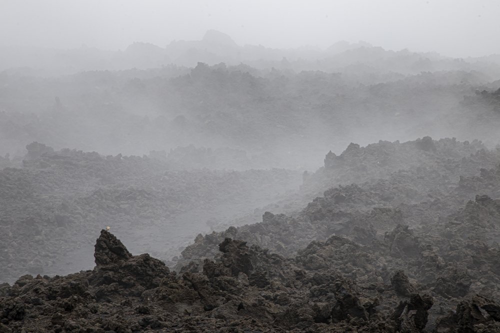 Фотография автора Christian Brogi