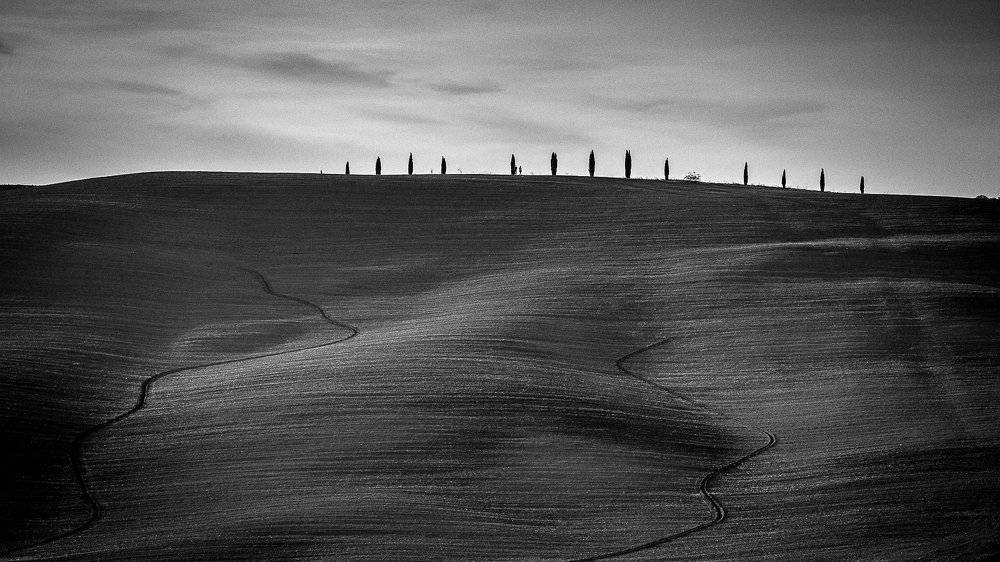 Photograph by Геннадий