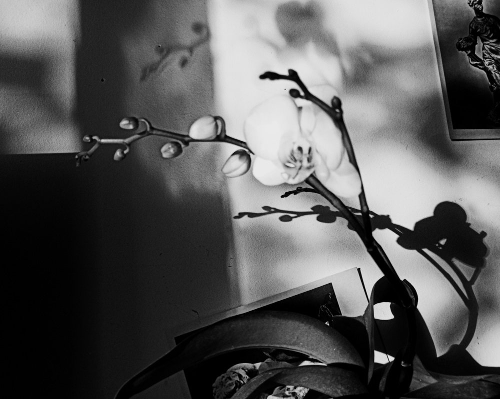 Photograph by Umroyan Naira