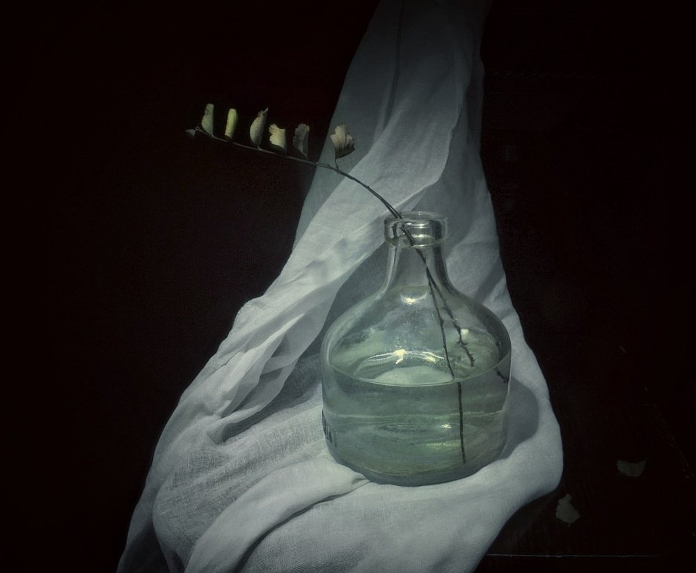 Photograph by Elena  Terentieva