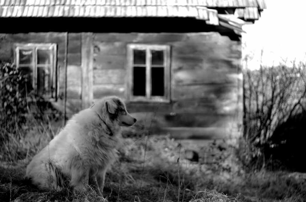 Photograph by Damir Gržin