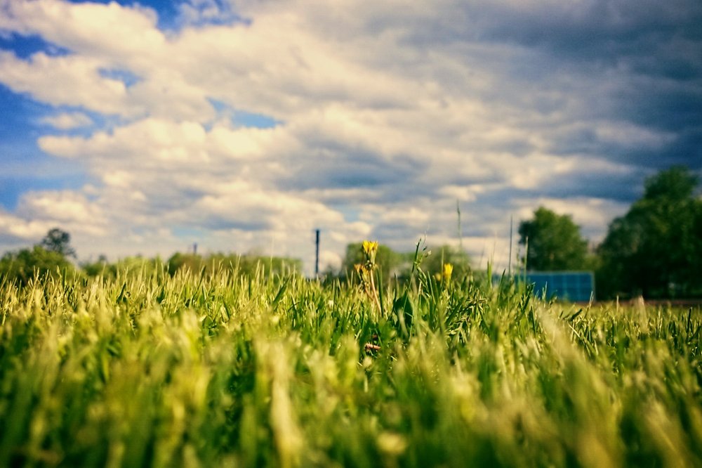 Photograph by София Козина
