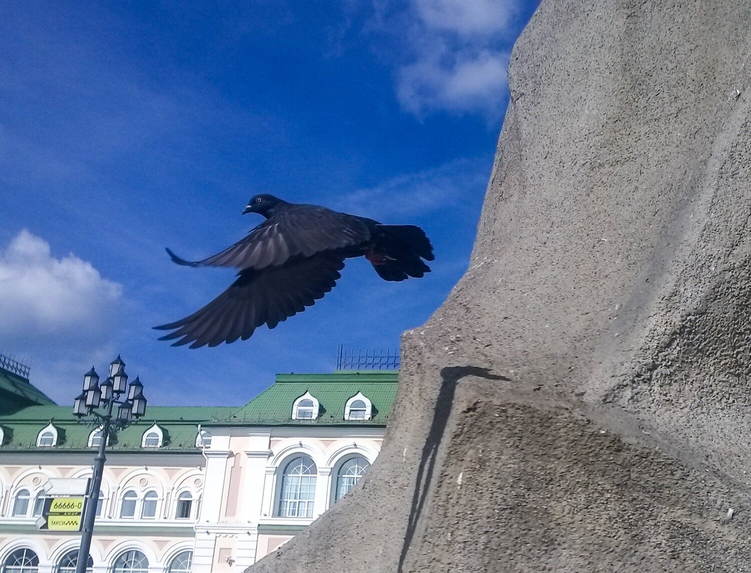Photo #4194816