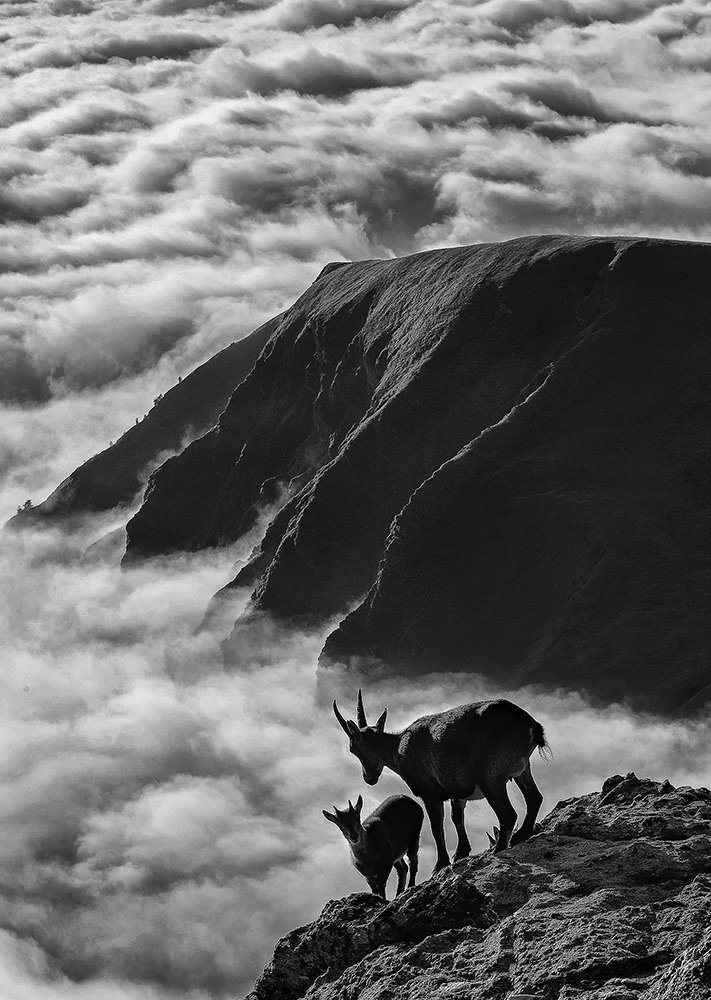 Photograph by Gloriano