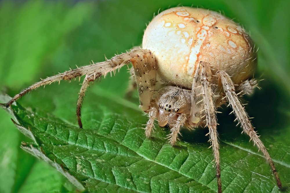 Photograph by Андрей Уколов