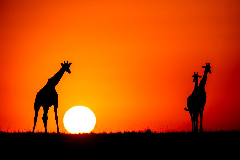 Let’s play Football