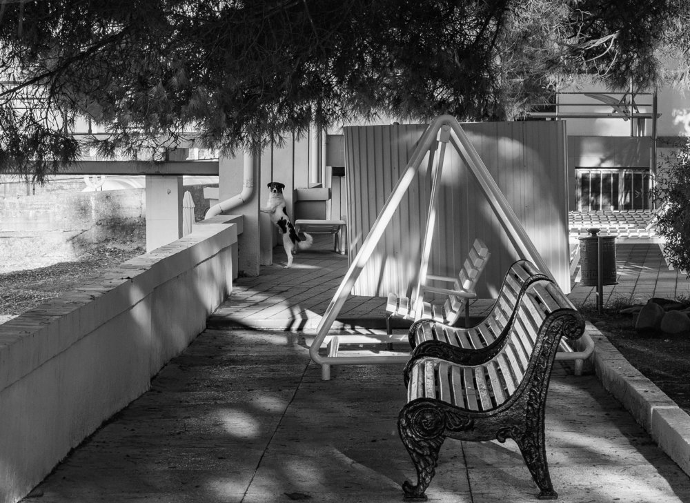 Photograph by Курлянцев Алексей