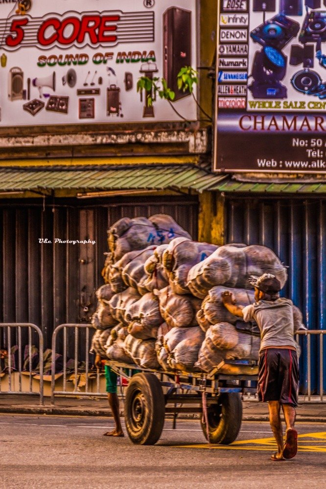 Photograph by Pradeepan Pradeep