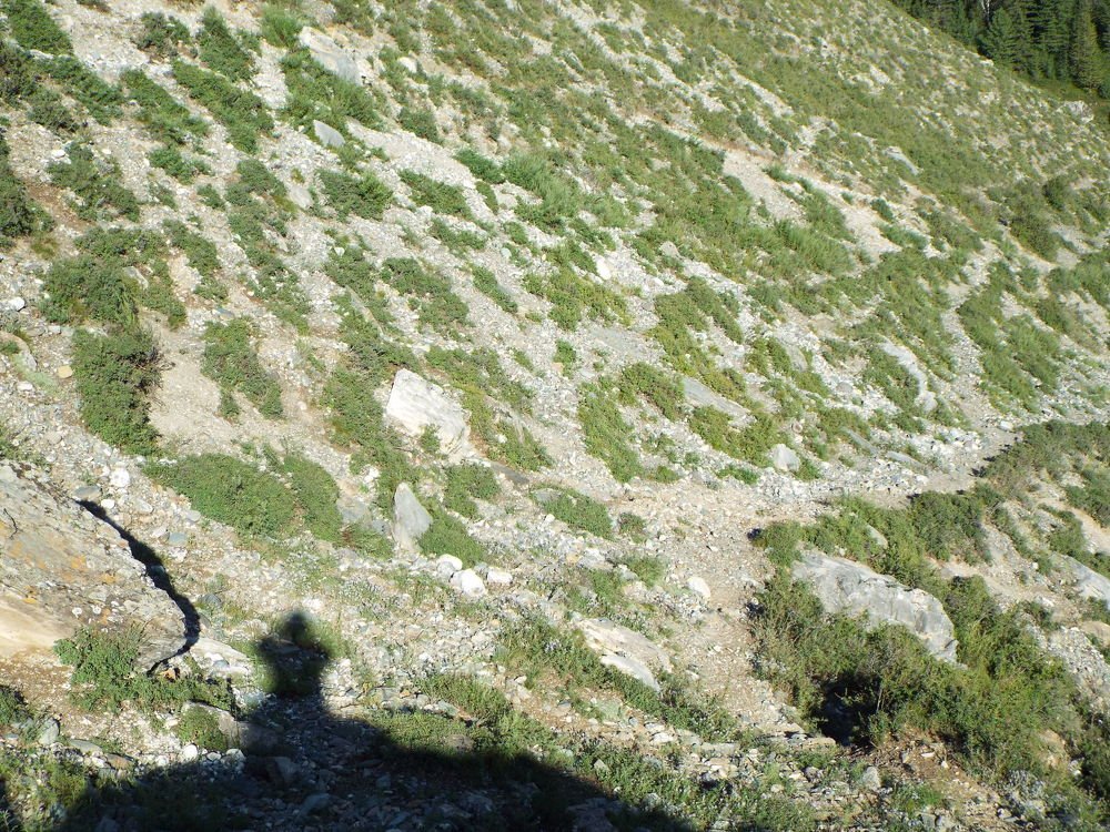 Photograph by Ирина