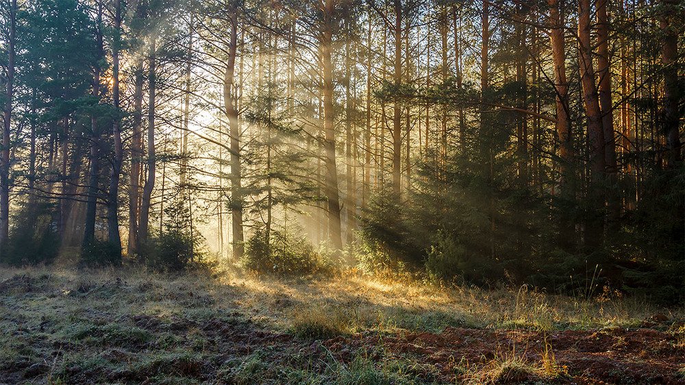 Photograph by Sergey L