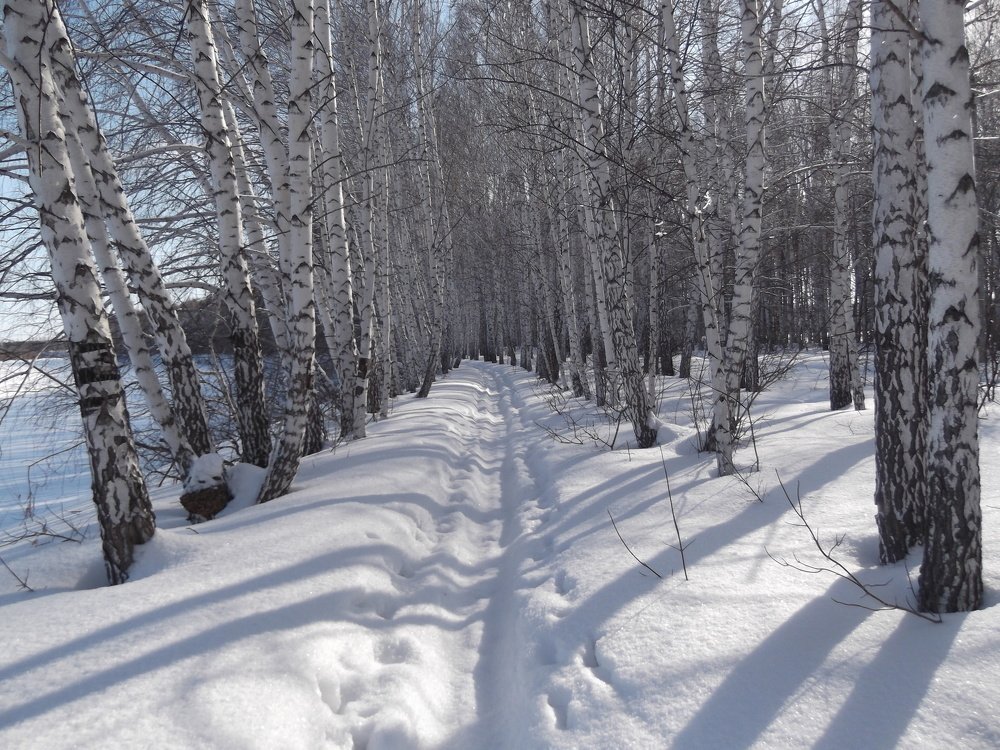 Photograph by Ирина