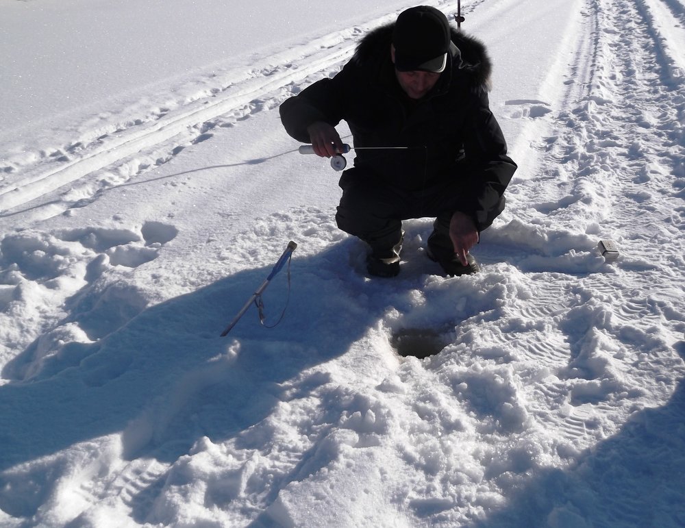 Photograph by Ирина