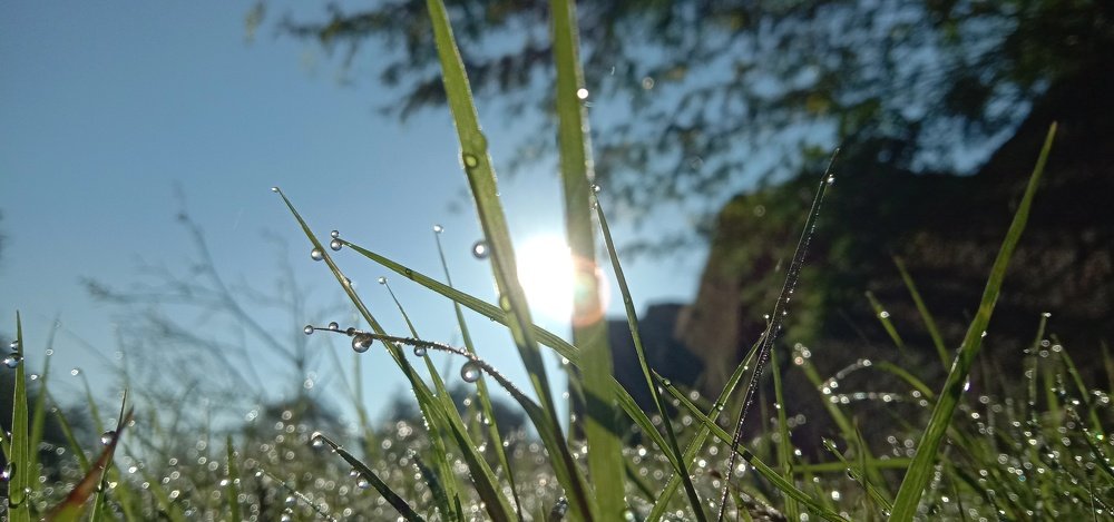 Photo #4195294