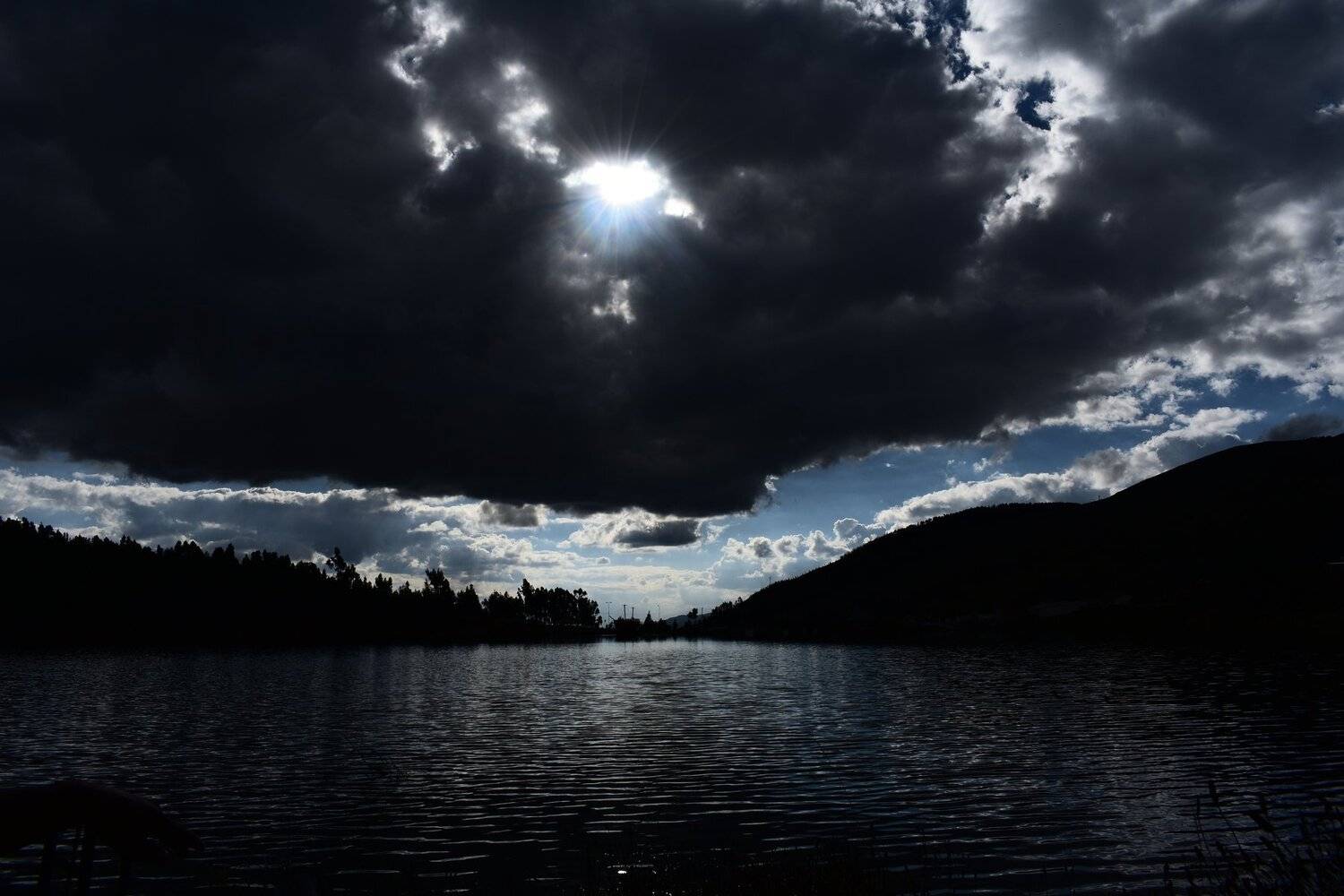Photo #4195323