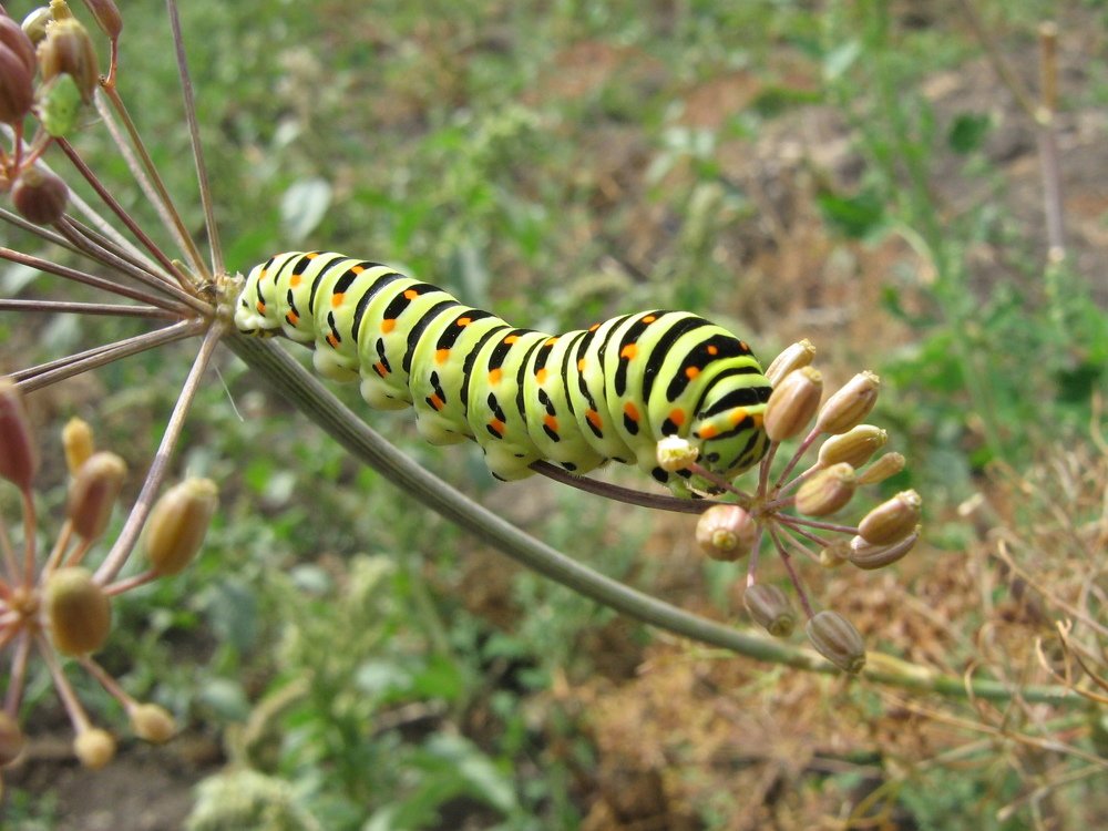 Photograph by Виктор Данилов