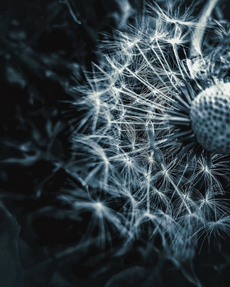 Photograph by Юлия Макаренко