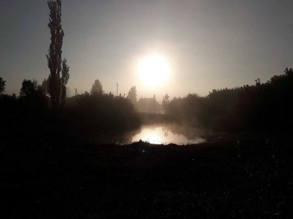 Photograph by Лариса Фатыхова