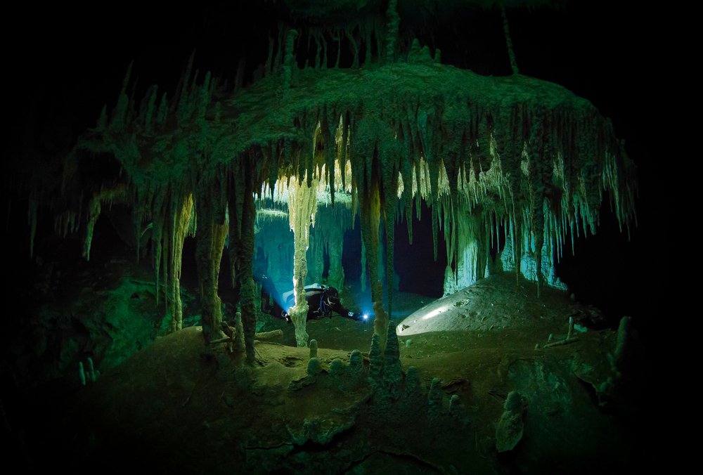 Фотография автора Андрей Крапивной