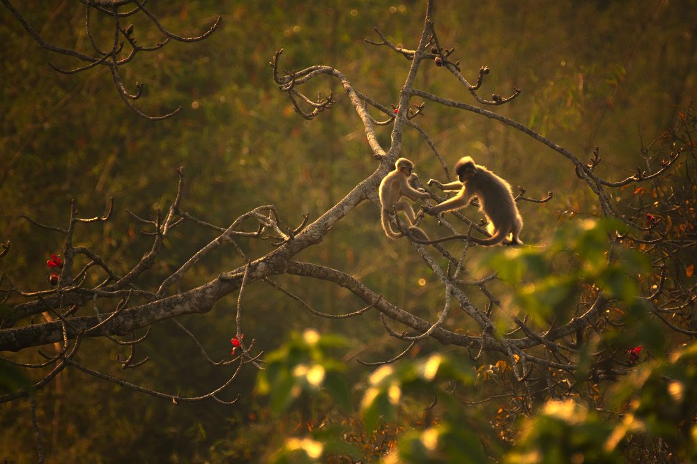 Photograph by Fuad Mr.