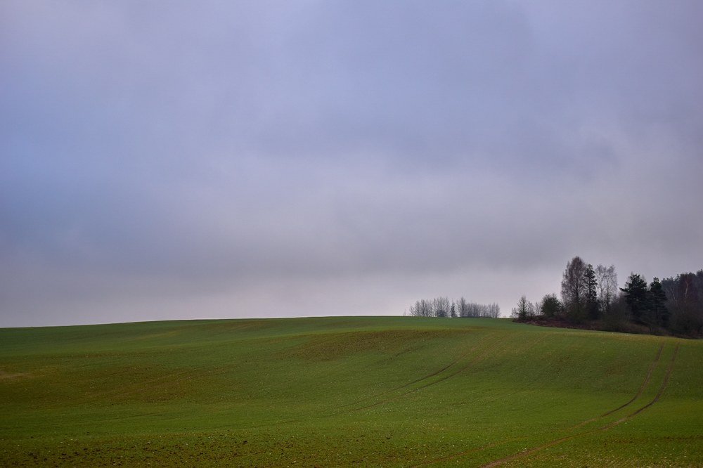 Photograph by Инна Сотникова