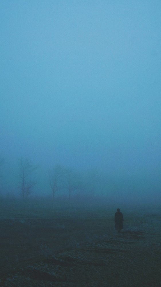 Photograph by Данил Савченко