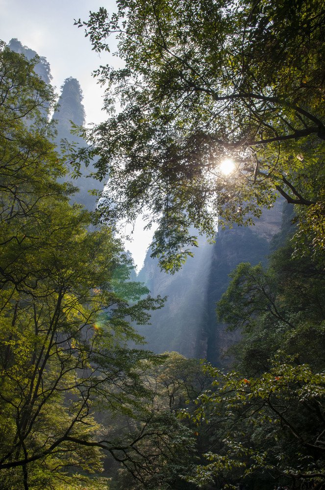 Photograph by Denis Starchikov