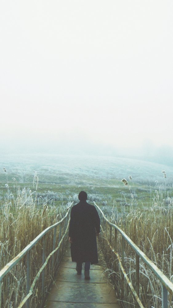 Photograph by Данил Савченко