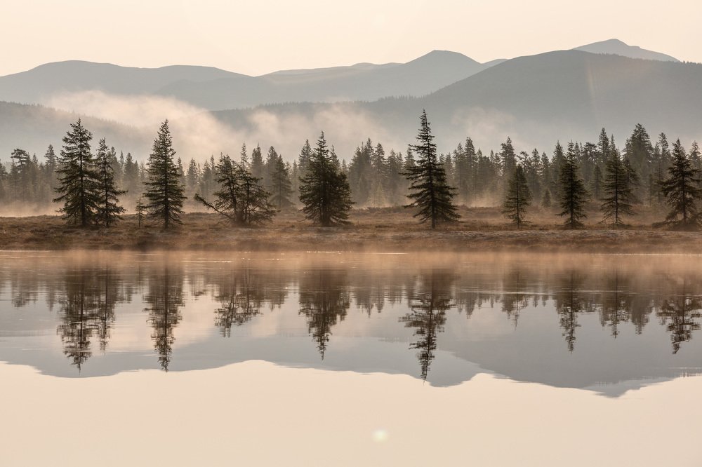 Photograph by Alfia Safuanova