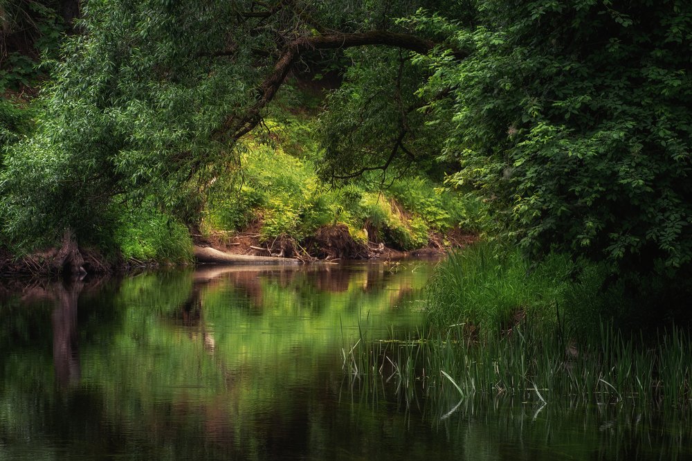 Photograph by Ольга Максимова