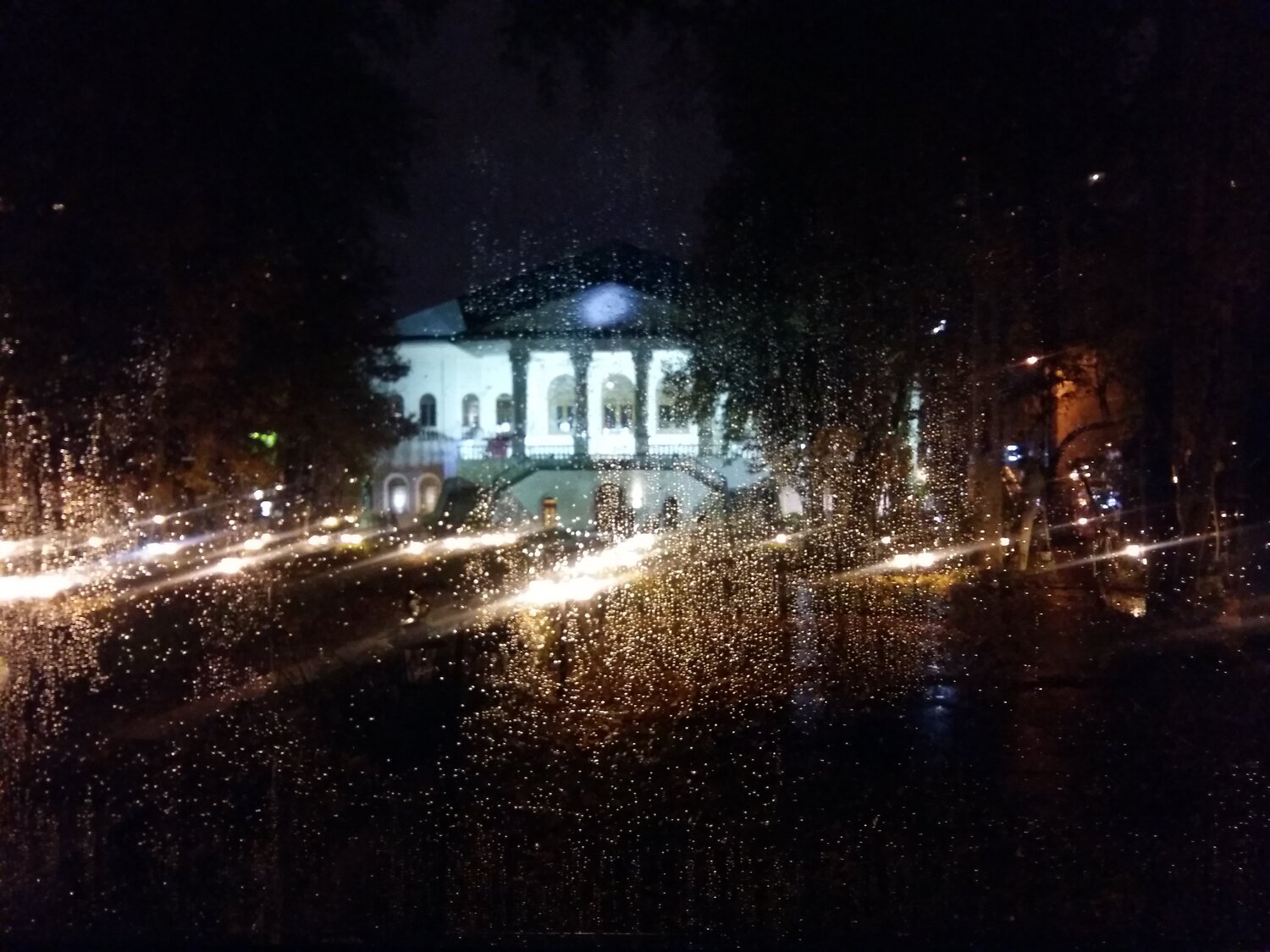 Photo #4195824